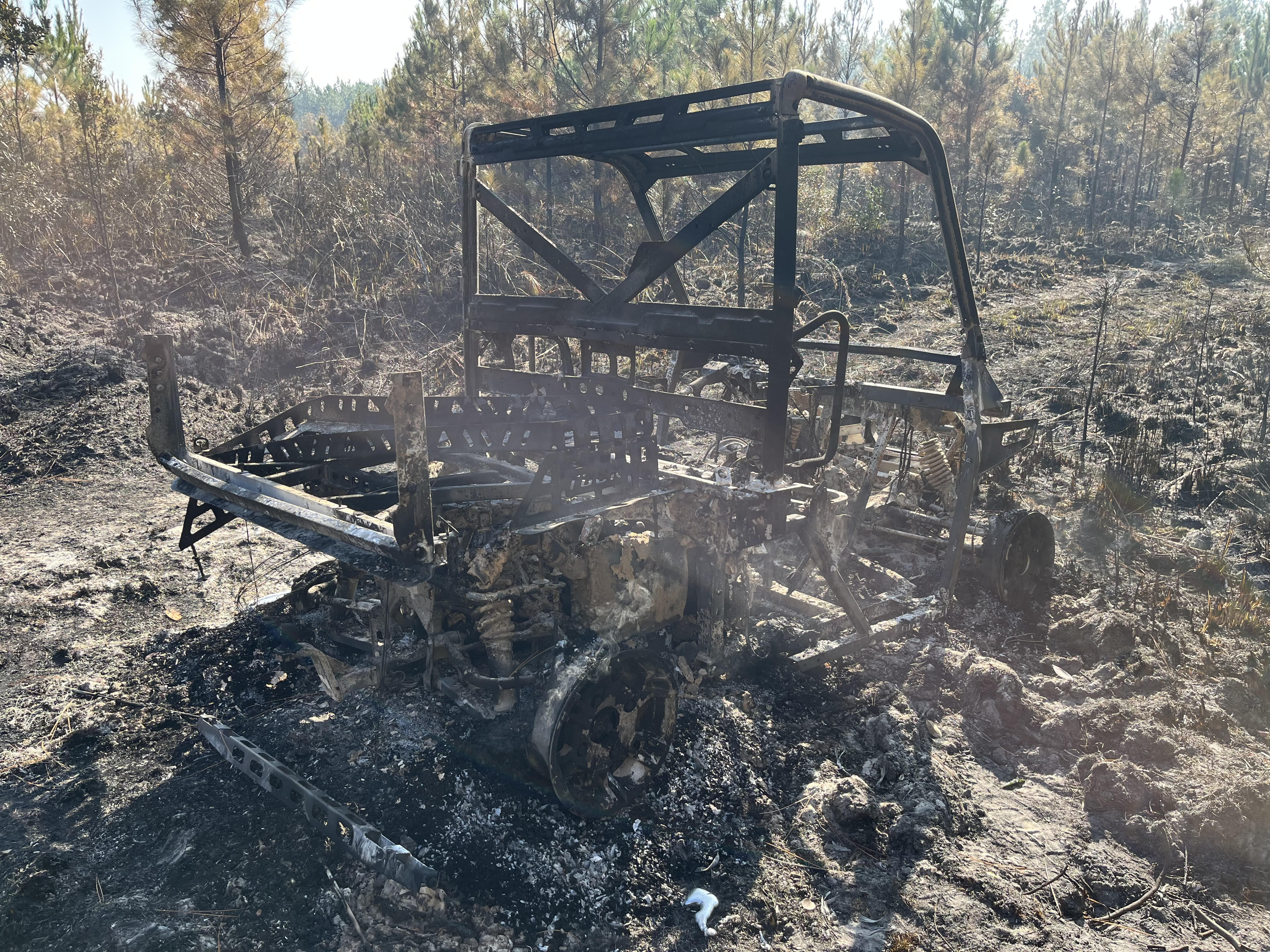 Rayonier Hunting | Learn More